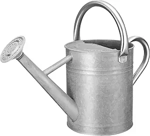 Watering Can for Outdoor Plants&Indoor Plants,Plant Watering Can 1 Gallon,Metal Flower Garden Watering Can Water Can Watering Pot,Galvanized Steel Watering Can Outdoor (Silver)