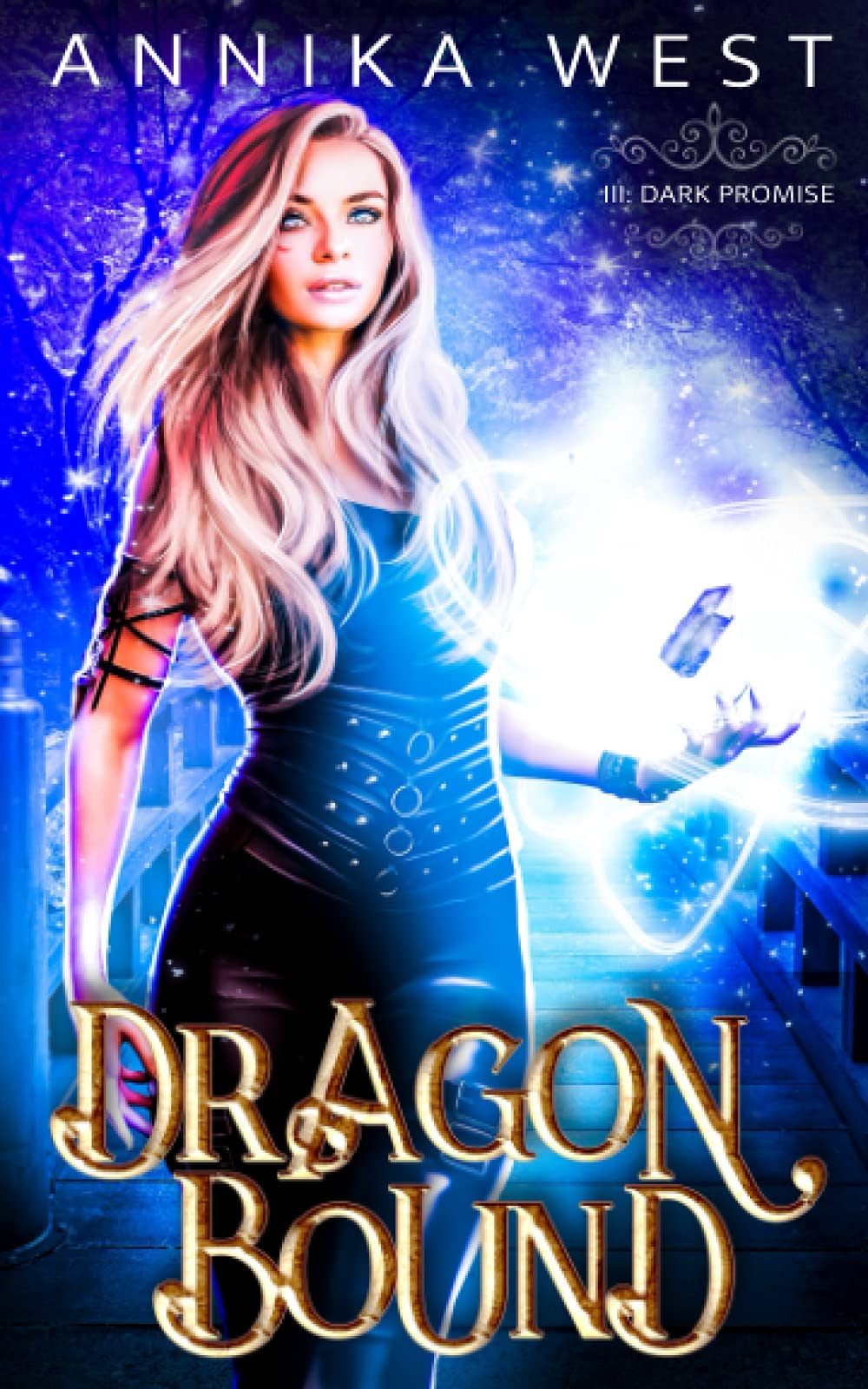 Book cover for Dark Promise