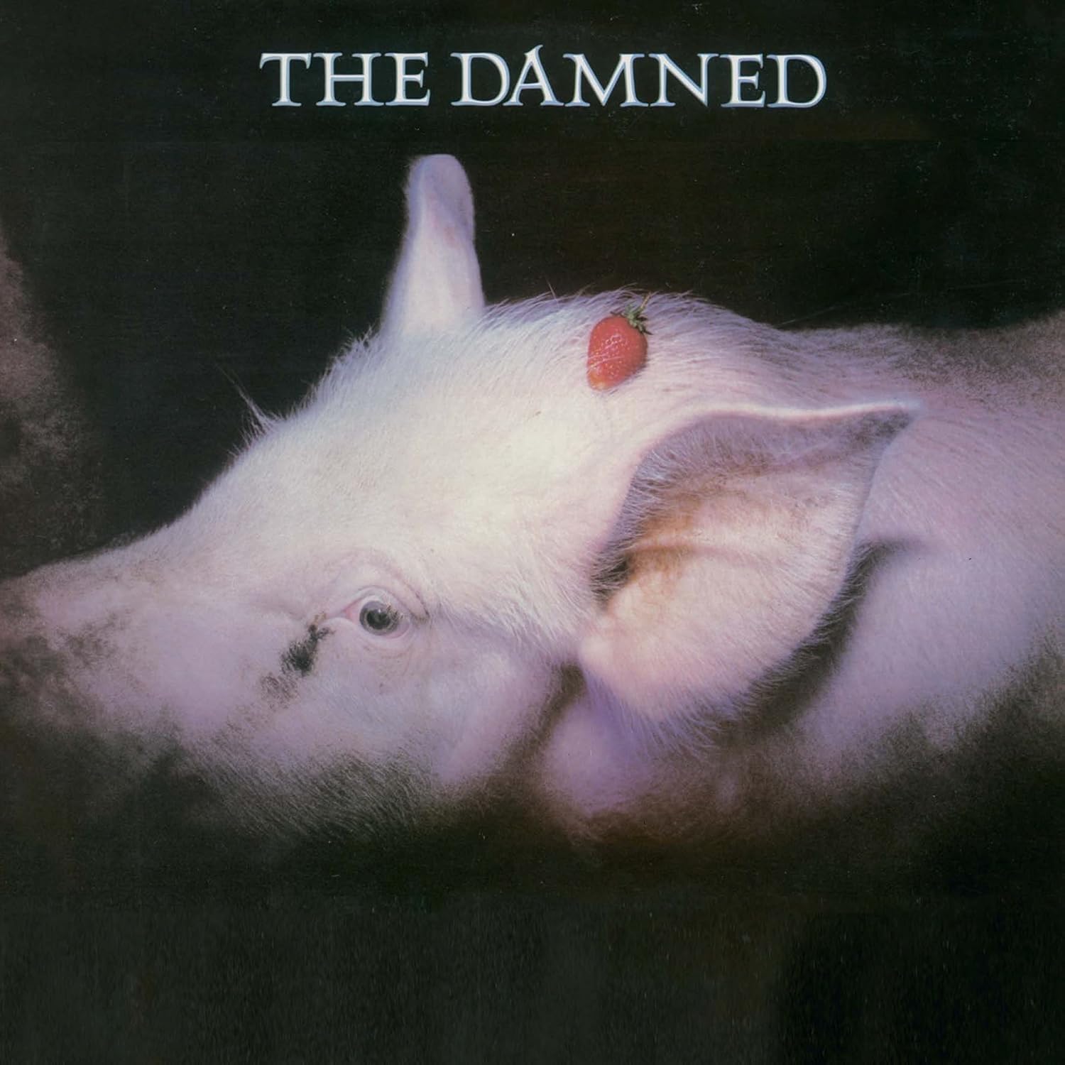 The Damned - Strawberries (1982): - -The Damned