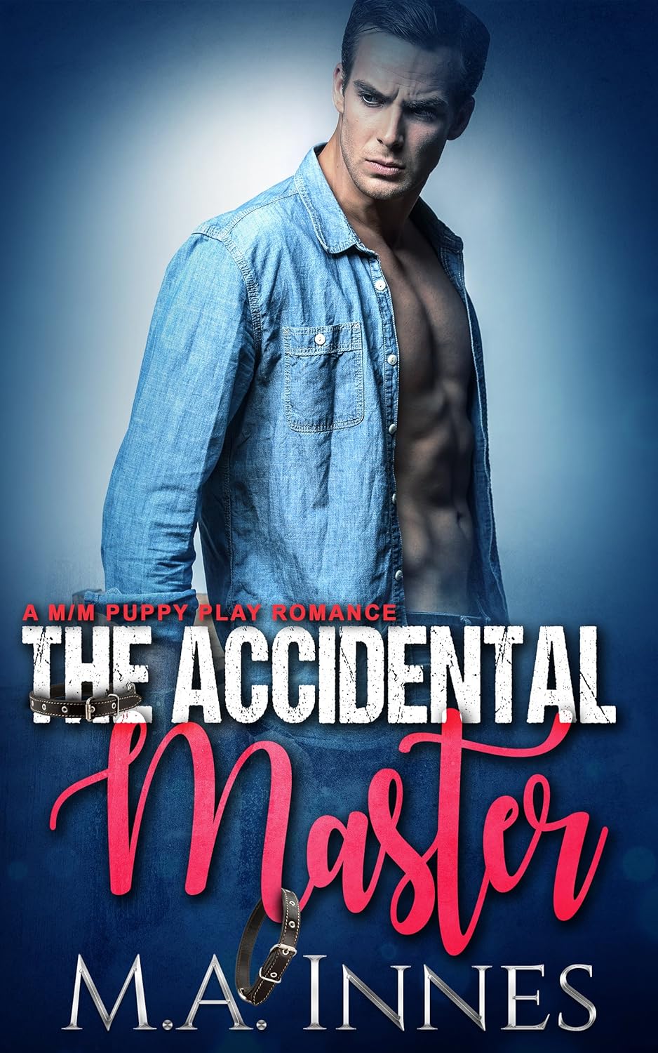 book cover for The Accidental Master
