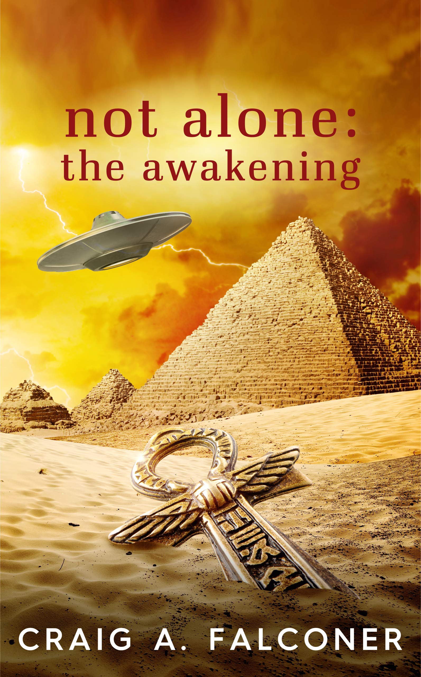 Cover of Not Alone: The Awakening