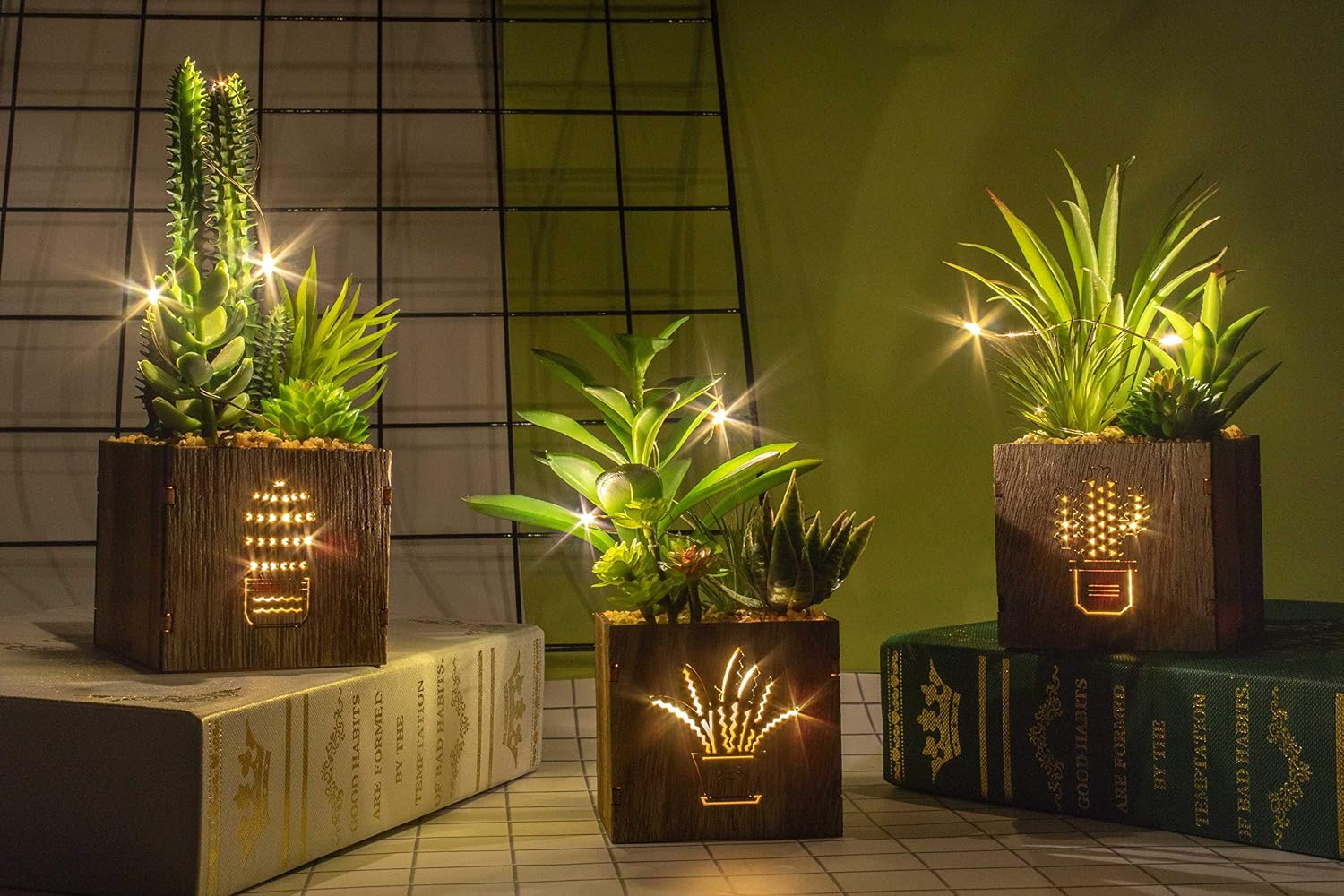 BEGONDIS LED-Sukkulenten 3er-Set in Holzkiste – Deko für Tisch, Büro & Valentinstag