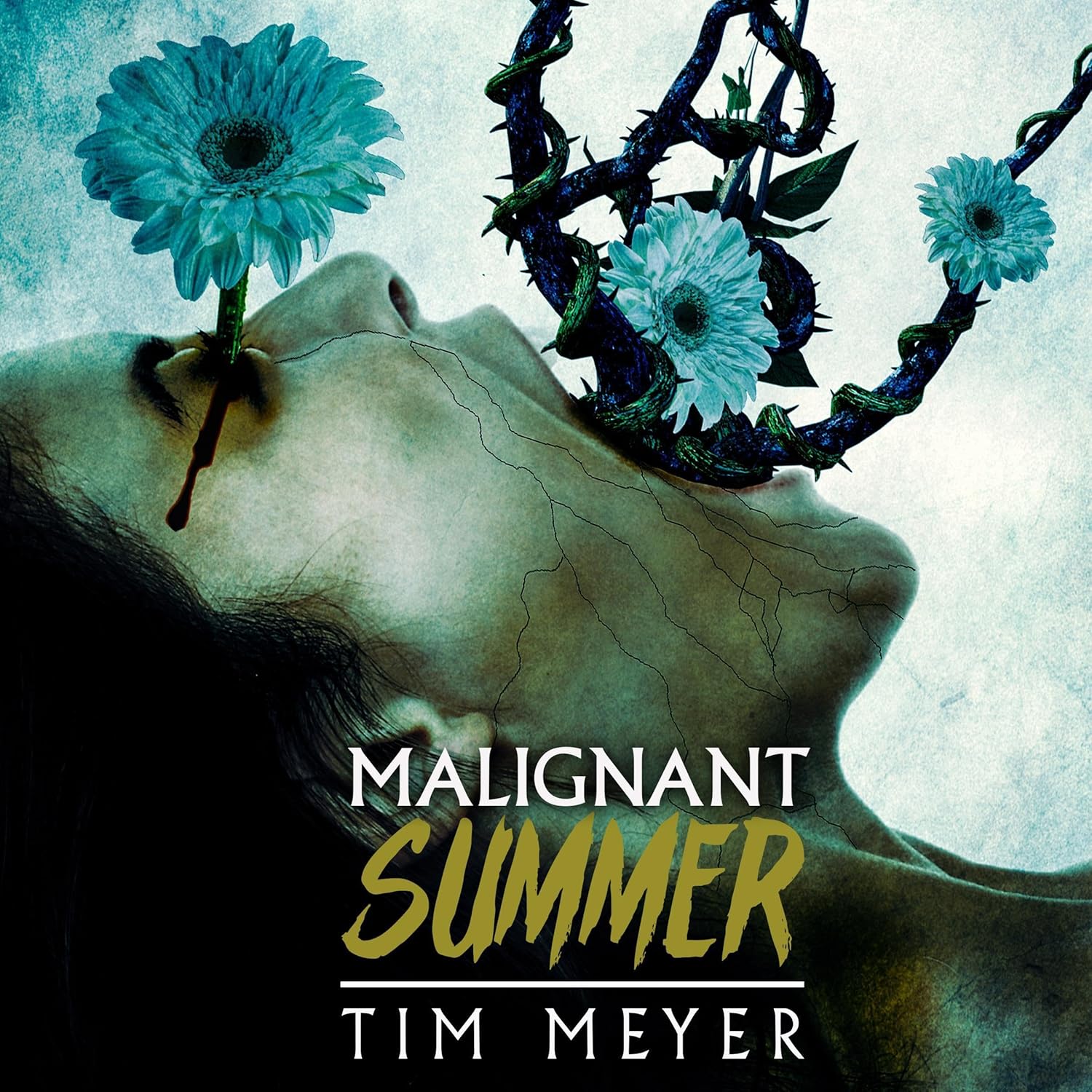  Tim Meyer  Malignant Summer