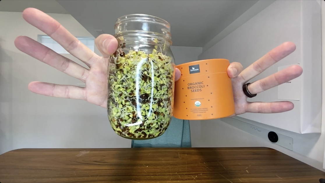 BEST Broccoli Sprouting Seeds? | ZestiGreens Sprout Seed Can
