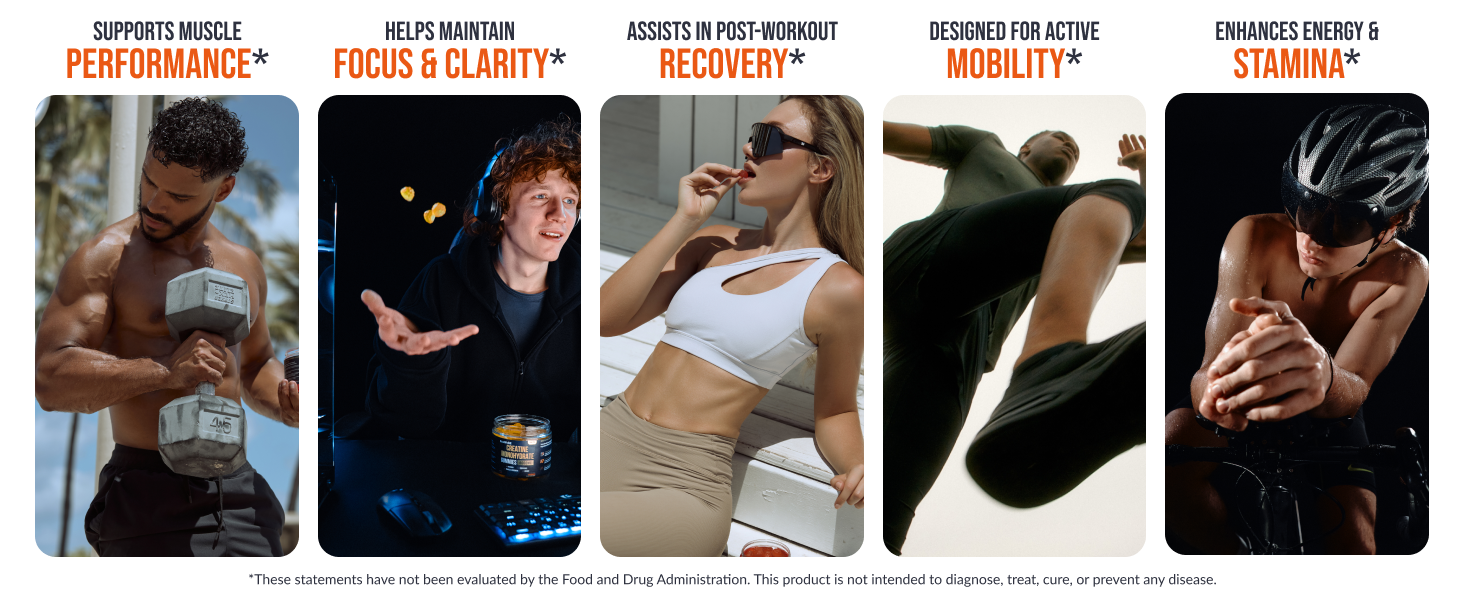 creatine monohydrate creatine gummies creatine for women creatine gummies for men