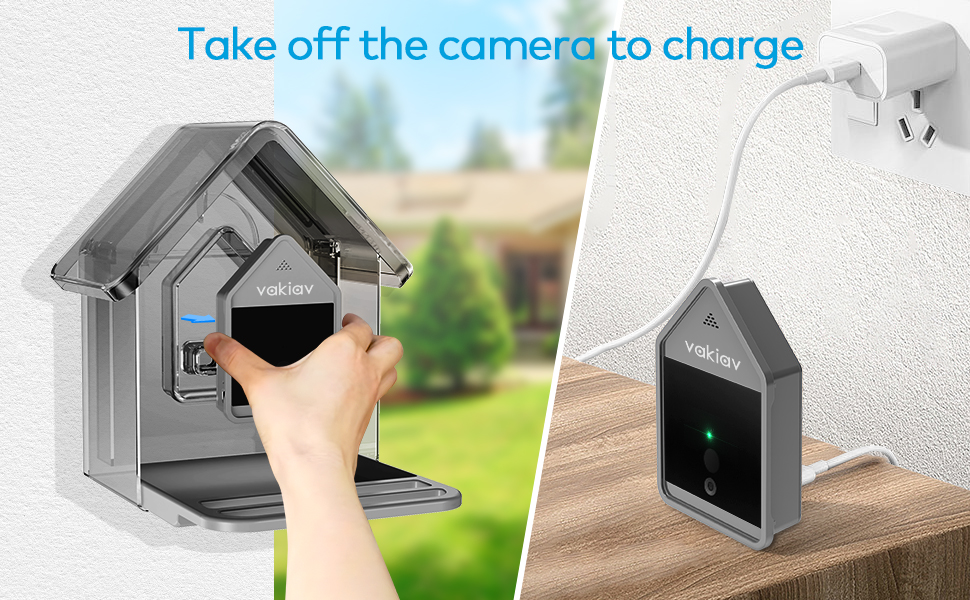 bird feeder with camera