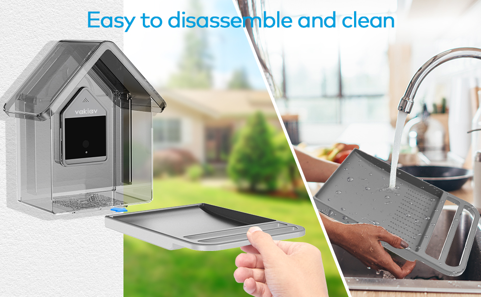 bird feeder with camera