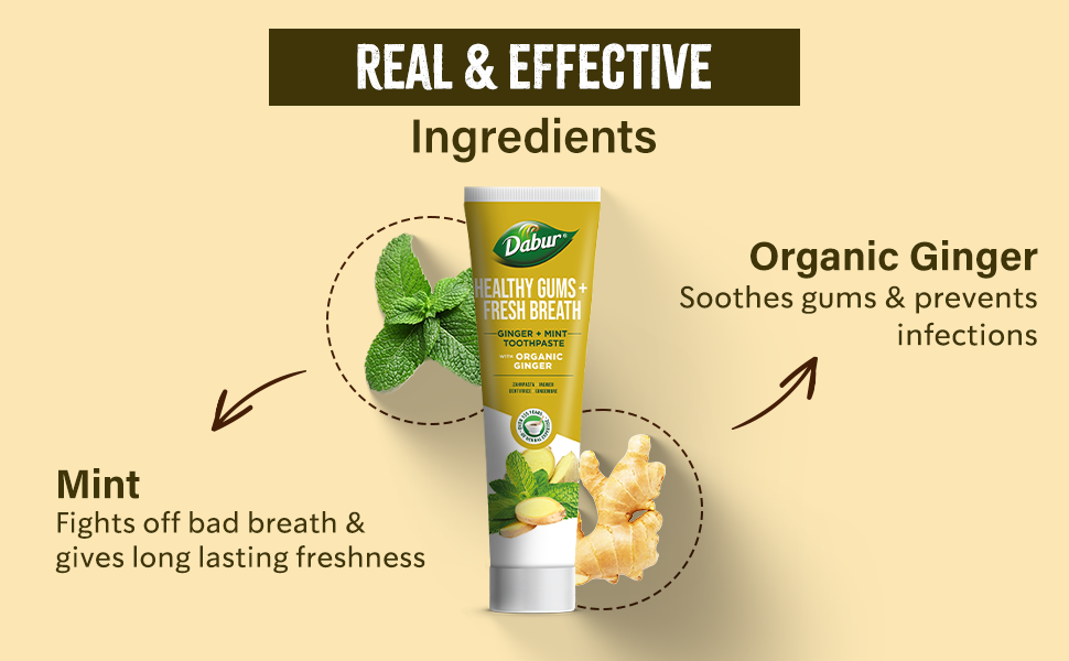 Dabur Organic Ginger & Mint Toothpaste | 100 ml