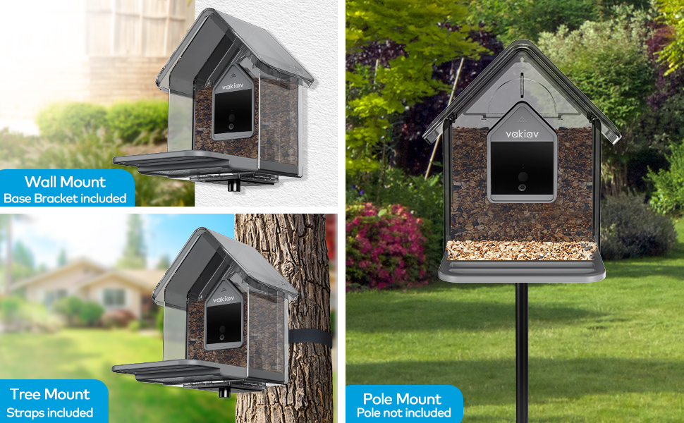 bird feeder with camera