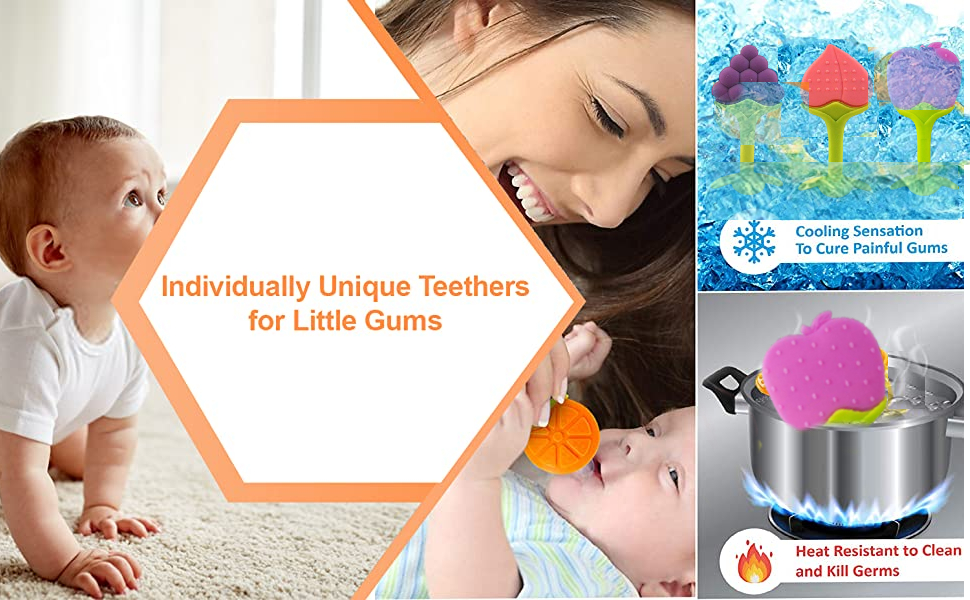 BabyGo Fruit Teether and Food Nibbler