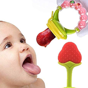 Fruit Teether and Food Nibbler