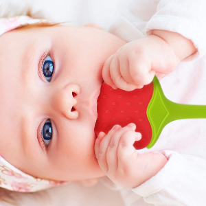 Fruit Teether